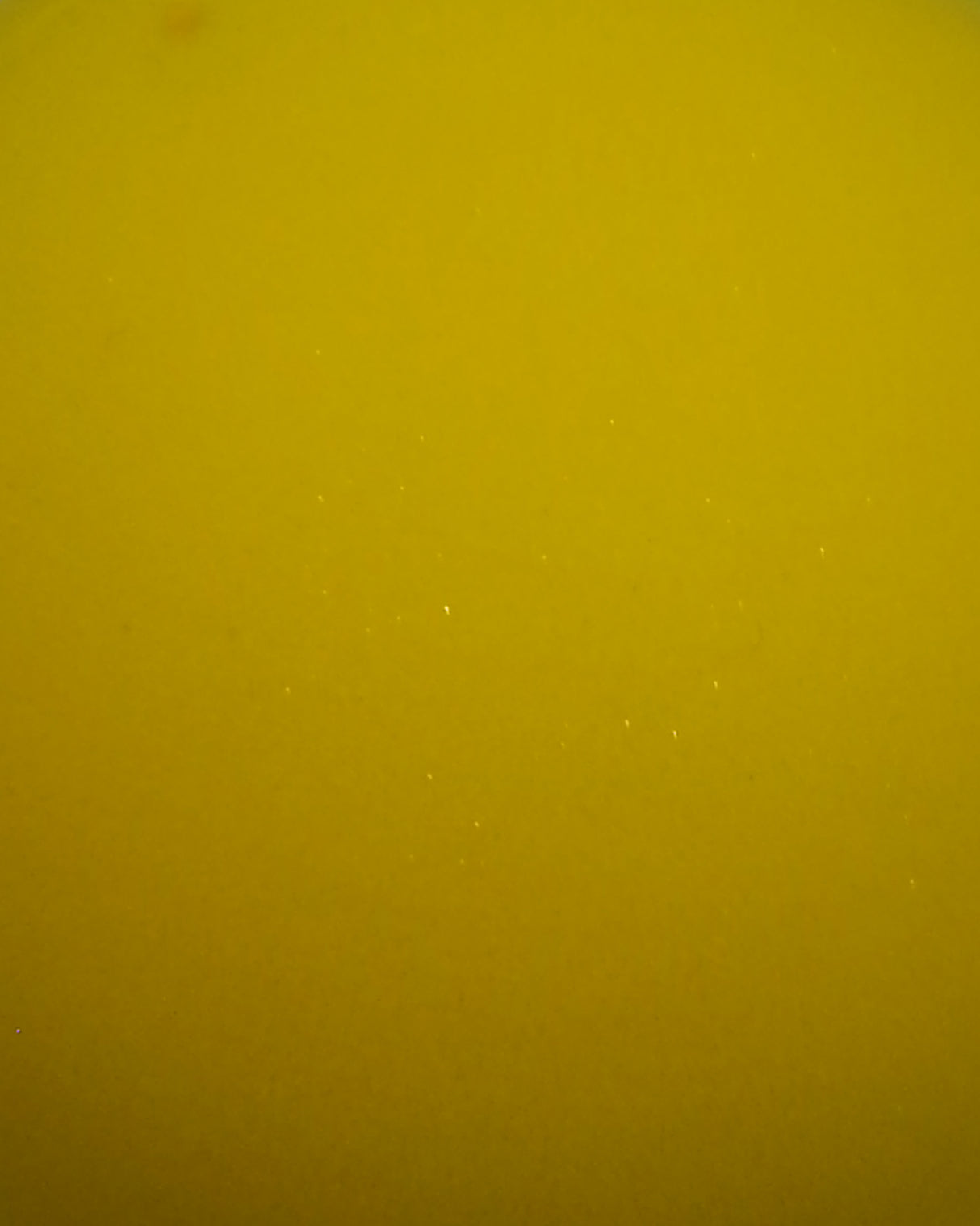 S4003300_1cl001