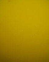 S4003300_1cl001