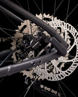 S4122718_1cl004