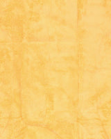 S4134713_1cl001