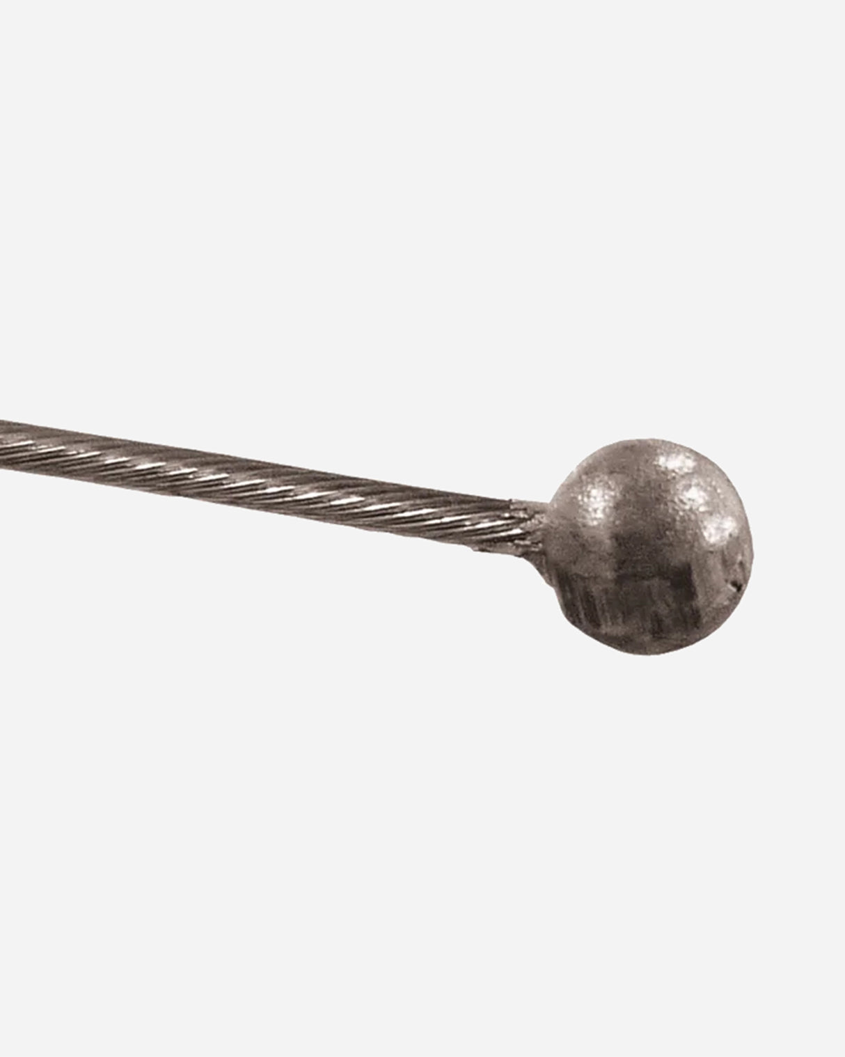 S4135664_1