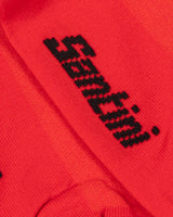 S4136016_Rcl002