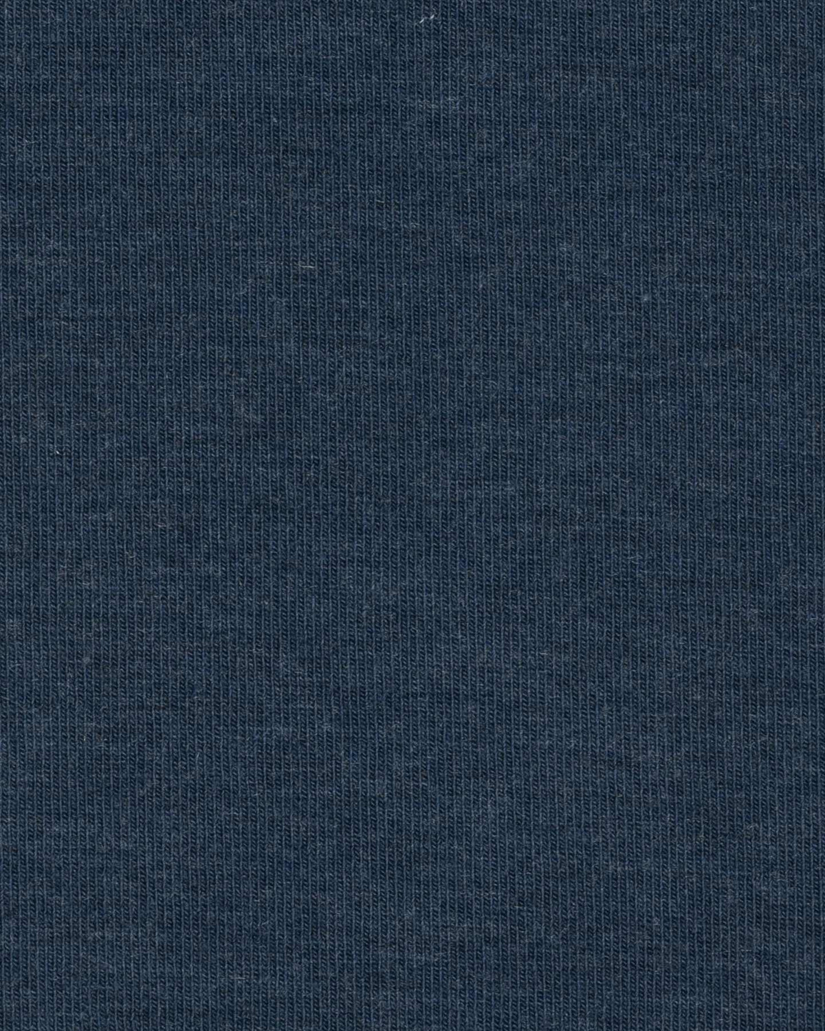 S4138314_19_4019cl002