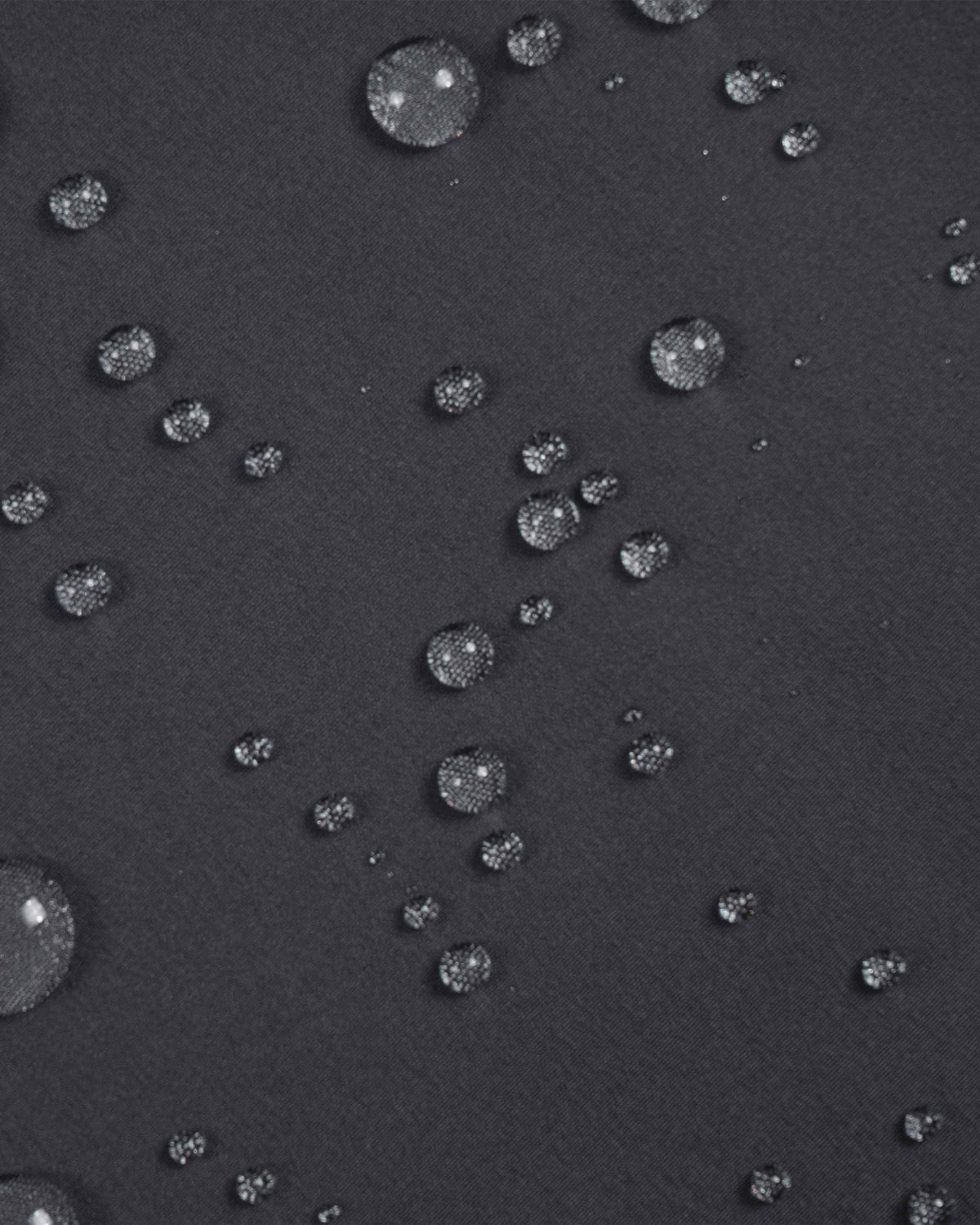 S4142875_290cl005