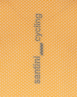 S4150663_GIcl002