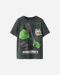 S4151563_19_5004