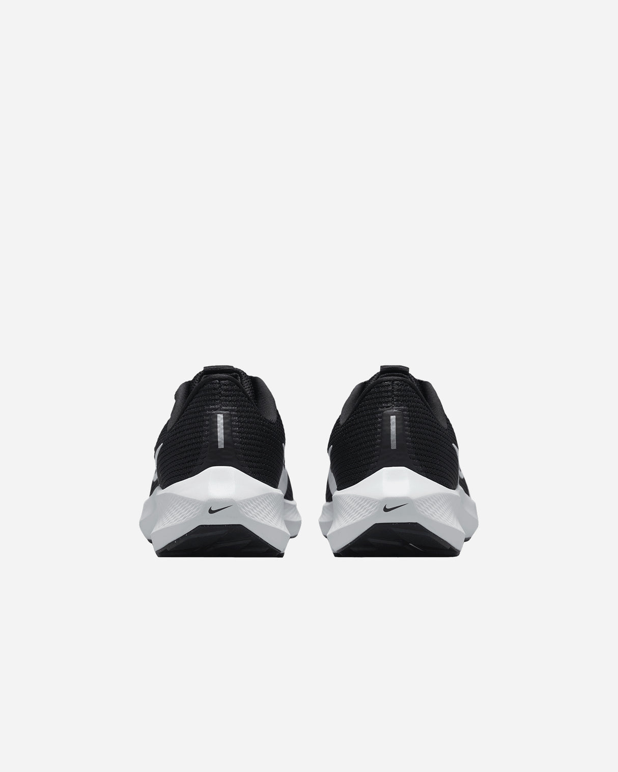 S5562978_001cl004