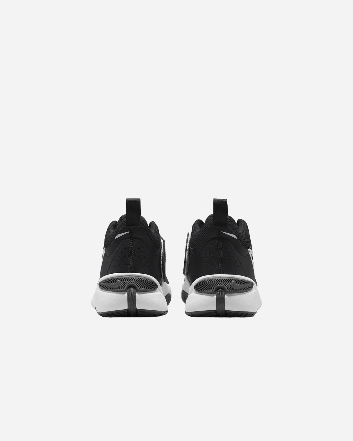 S5563035_002cl004