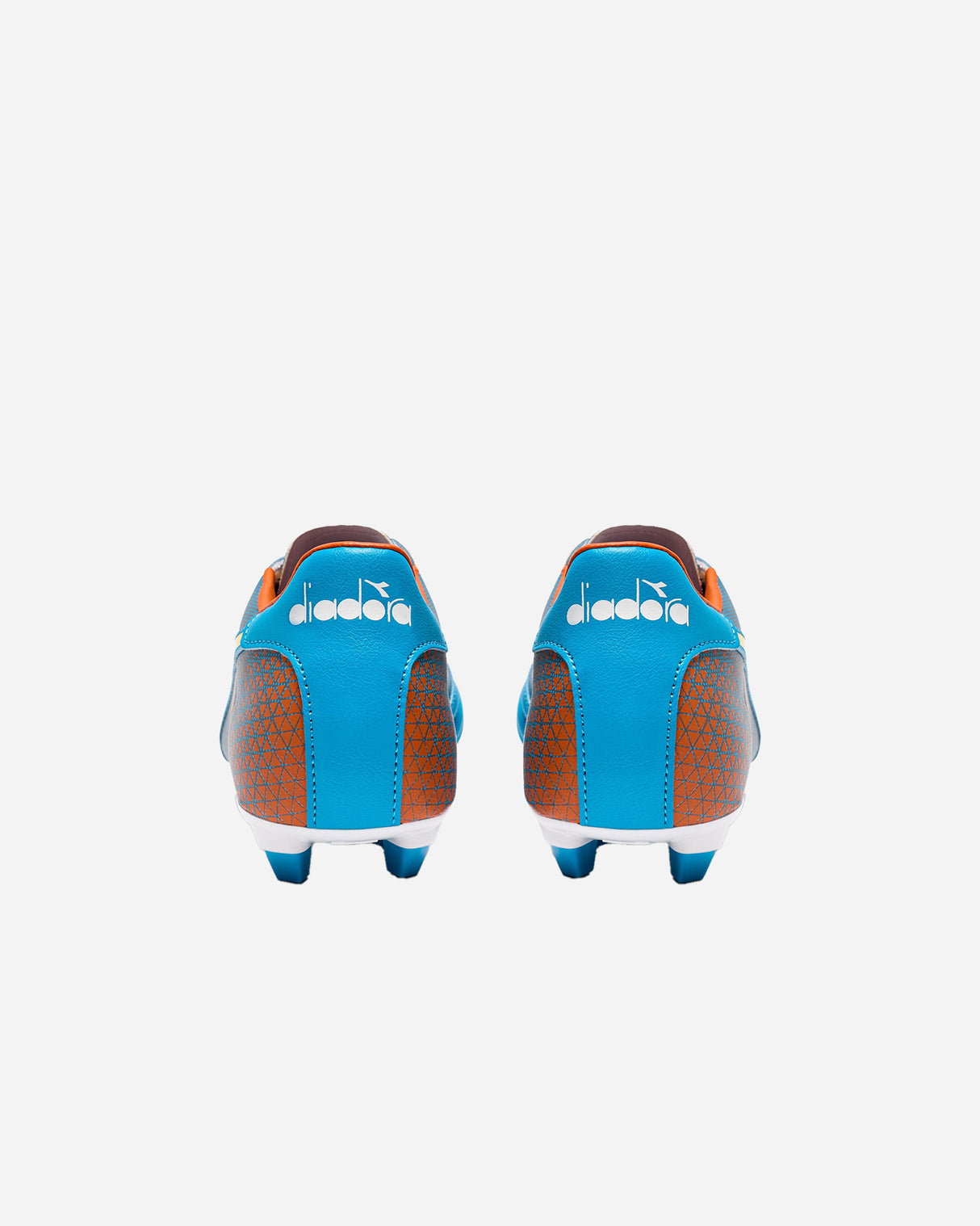 S5649260_D0954cl003