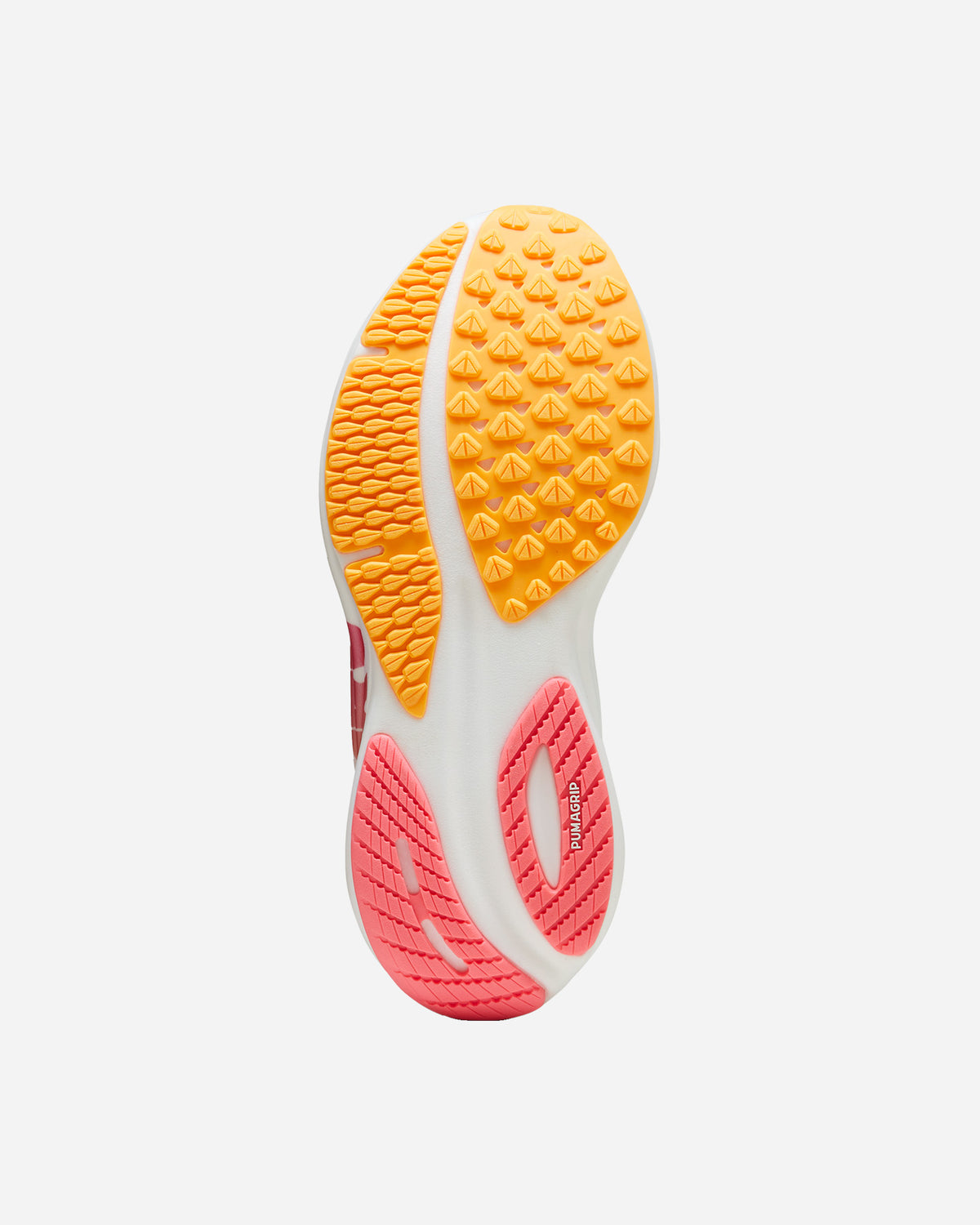 S5663489_01cl002