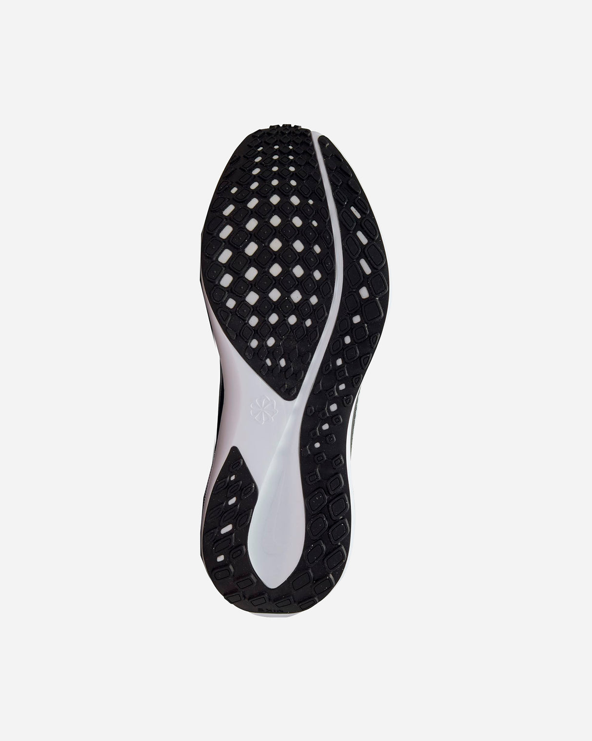 S5686698_002cl002