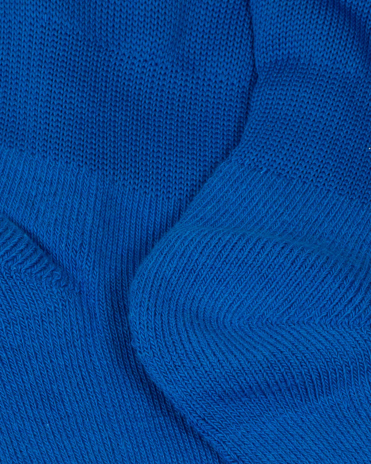 S5723646_000AFPcl002
