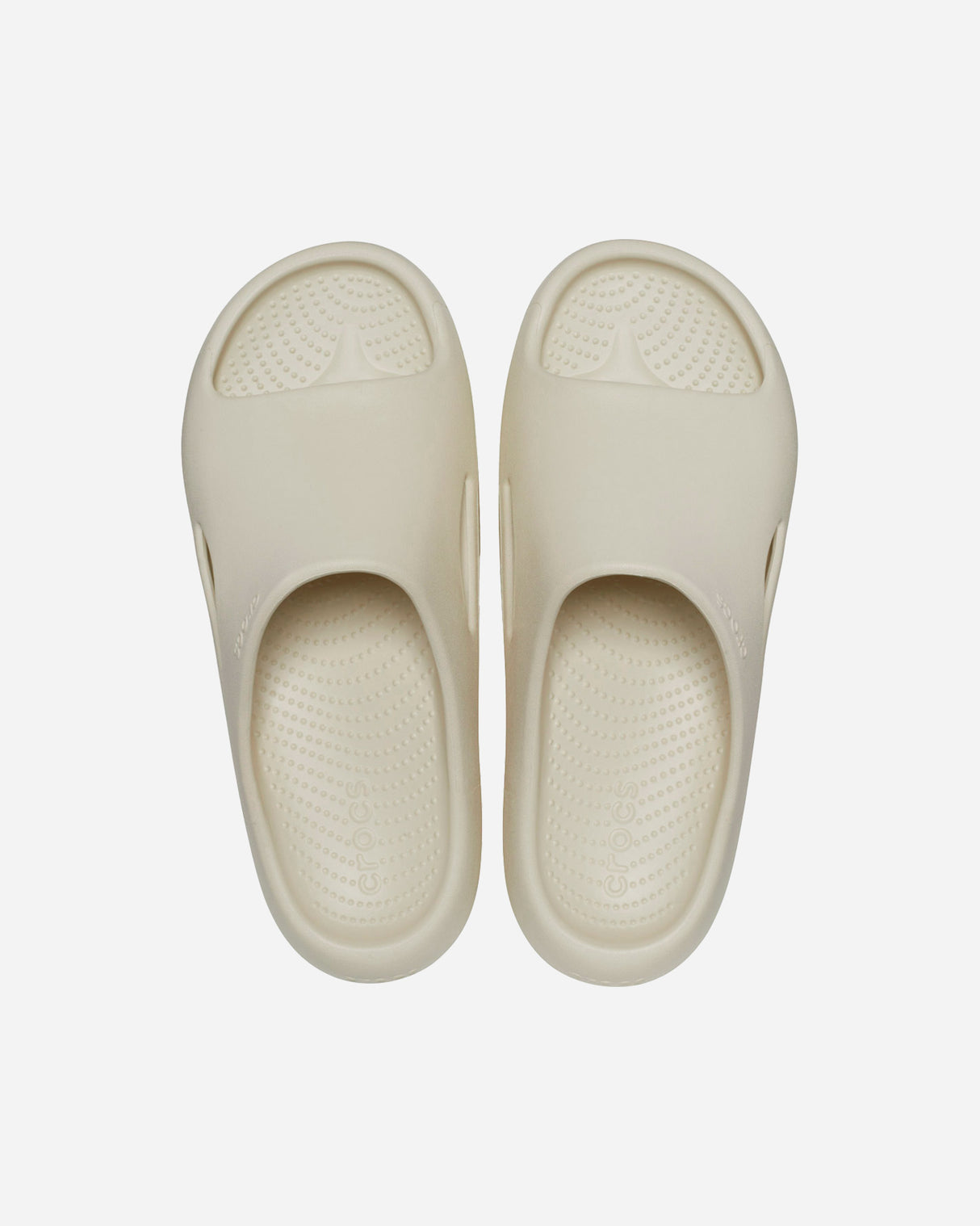 S5723683_BONE