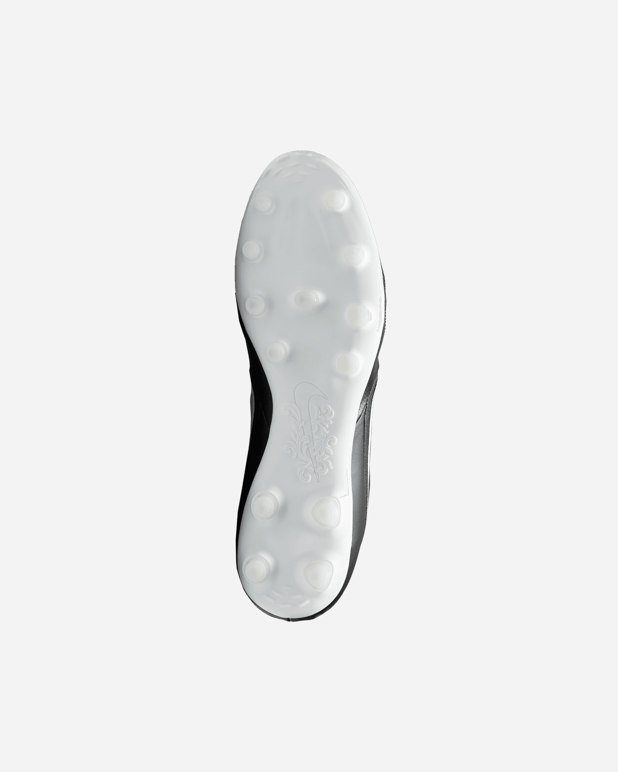S5762364_002cl002