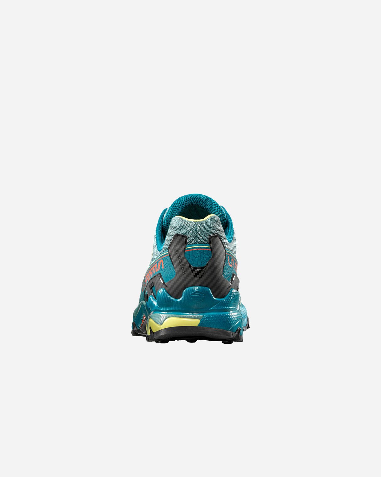 S5905053_E33E34cl004