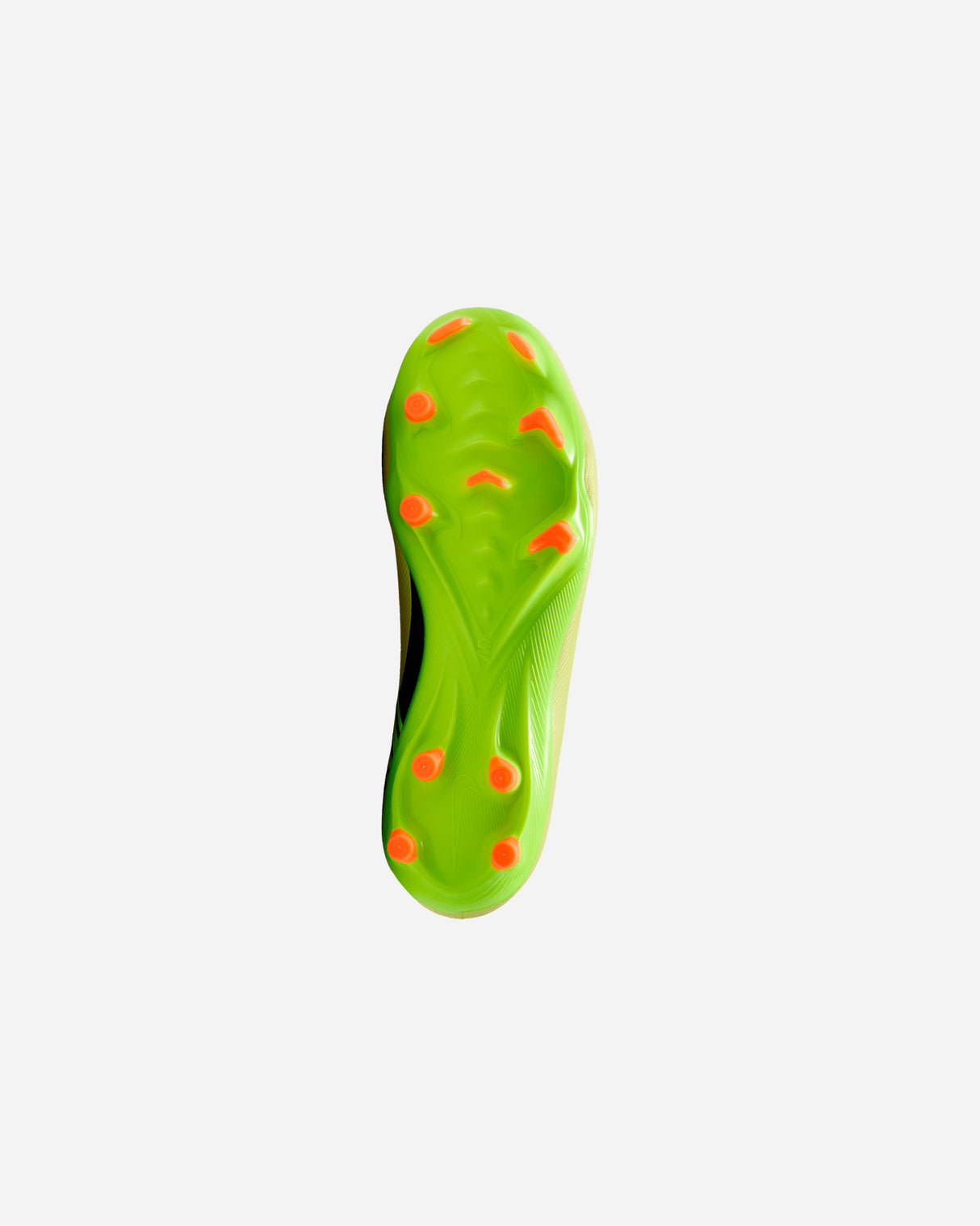 S5911325_300cl002