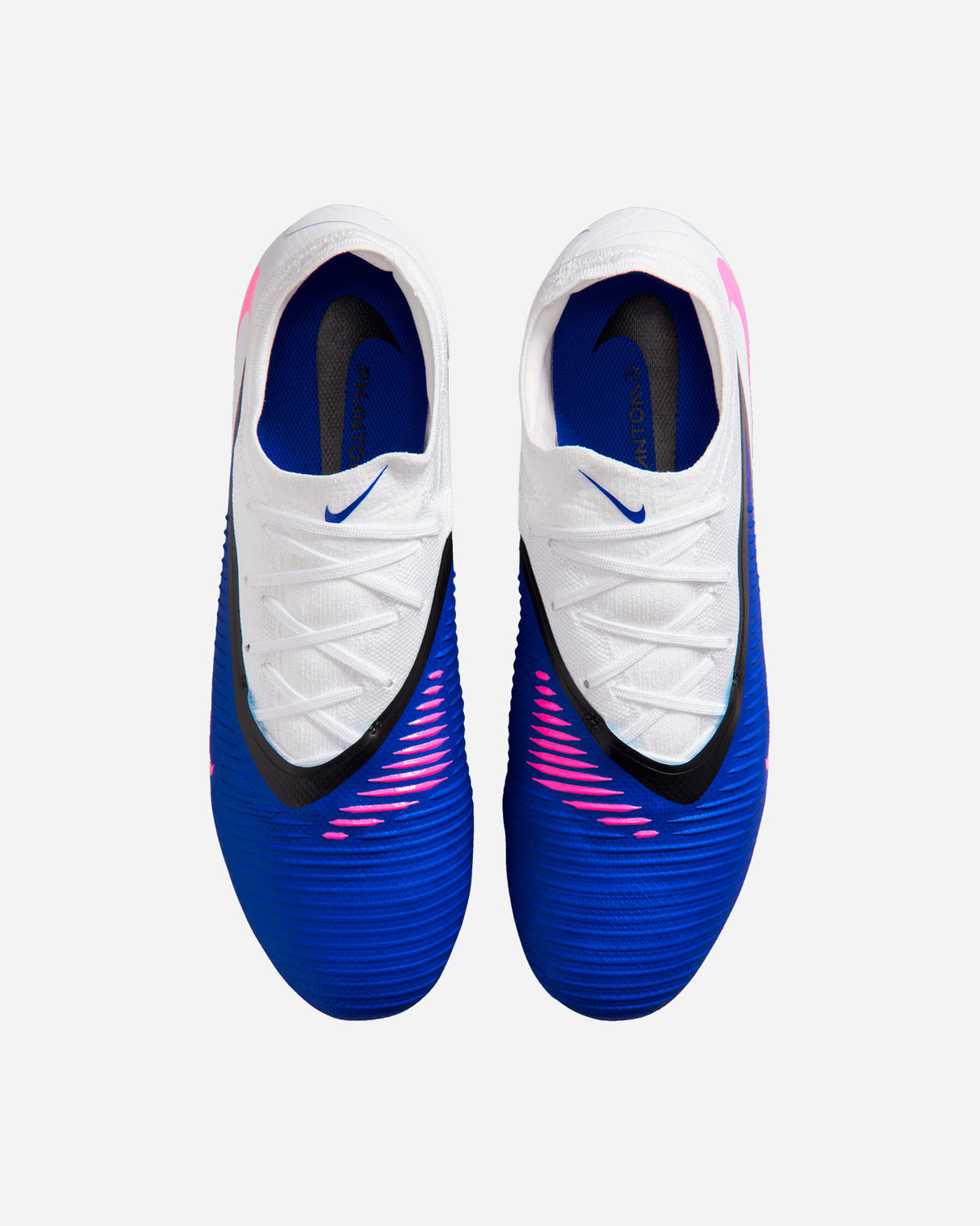 S5936799_446cl003