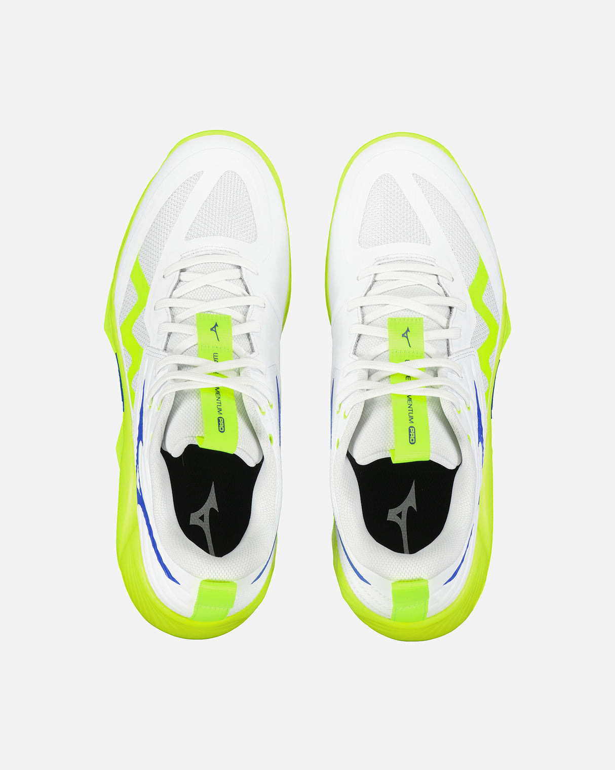 S5959805_39cl004