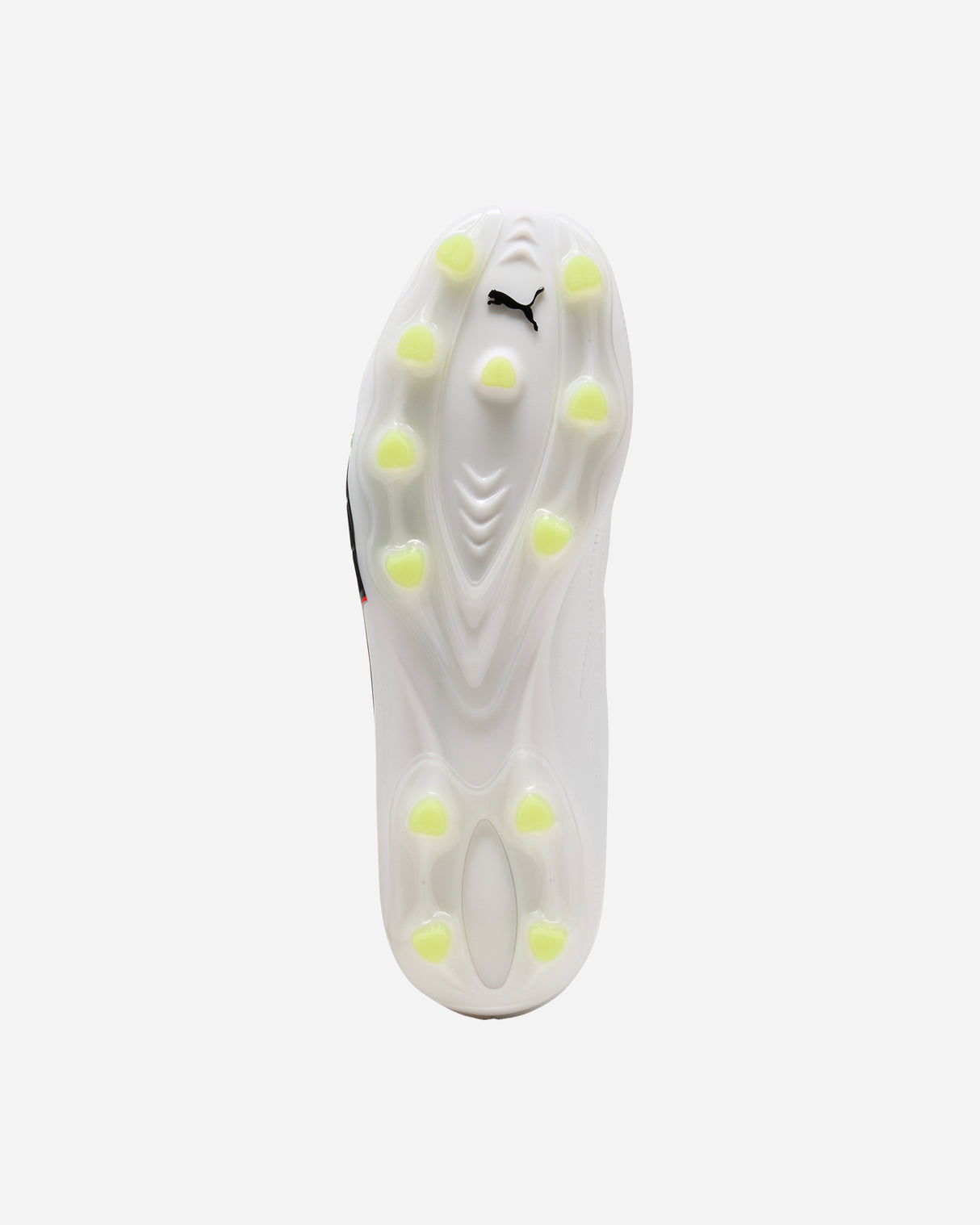 S5973898_01cl002