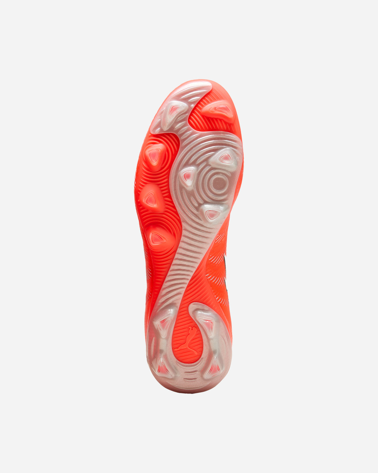 S5973987_01cl002
