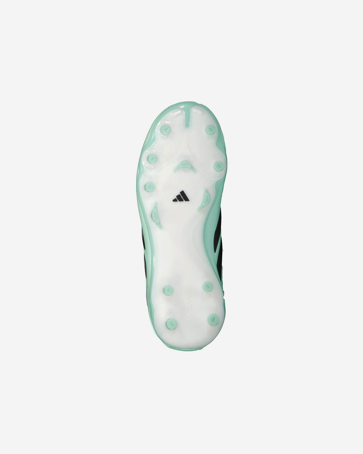 S6025963_UNIcl002