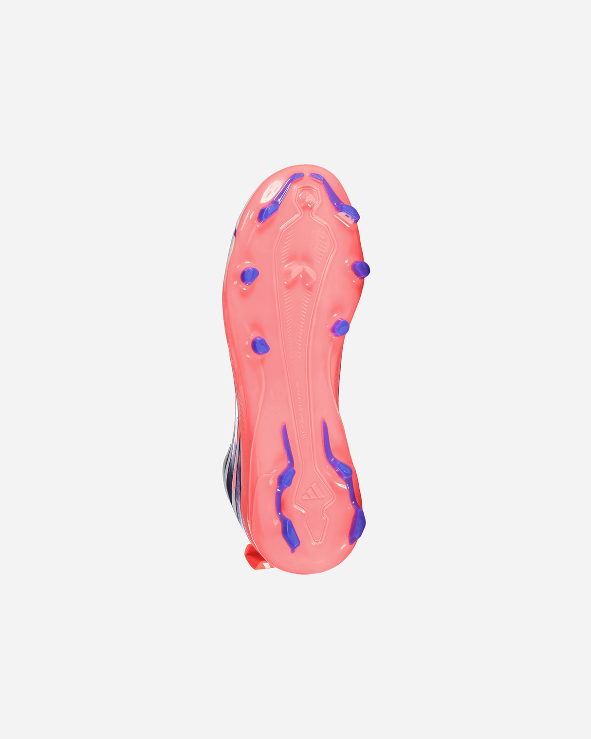 S6029513_UNIcl002