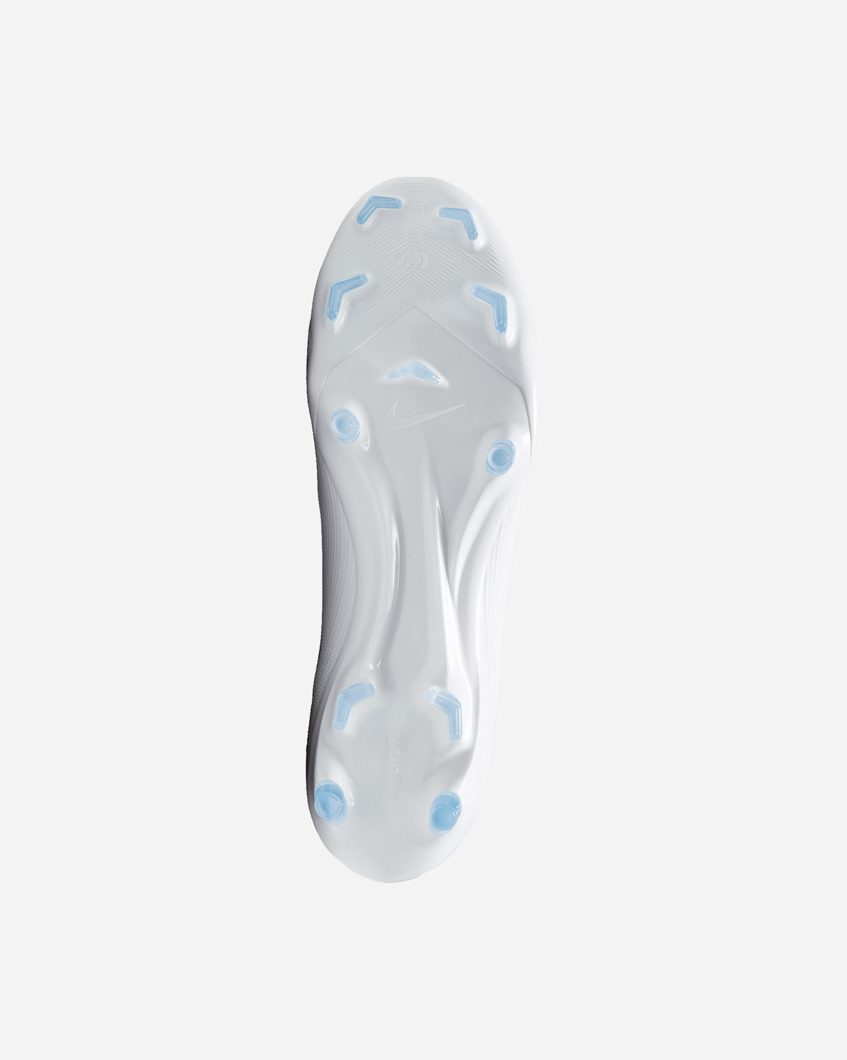 S6038830_100cl002