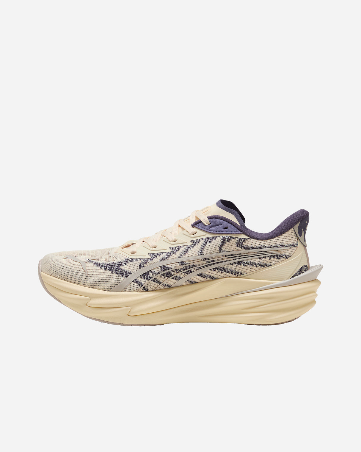 S6050381_31cl003