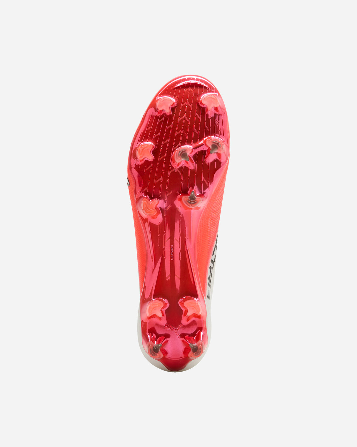 S6051383_01cl003