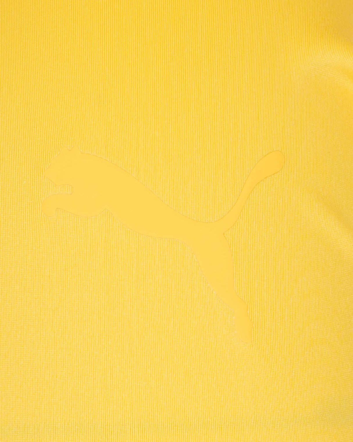 S6152538_17cl002
